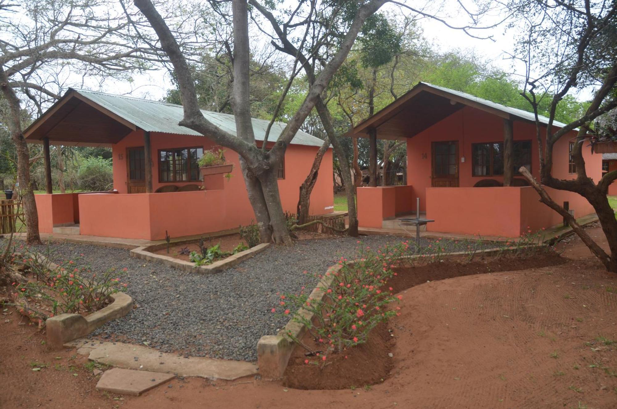 Bushbaby Lodge & Camping هلوهلوي الغرفة الصورة