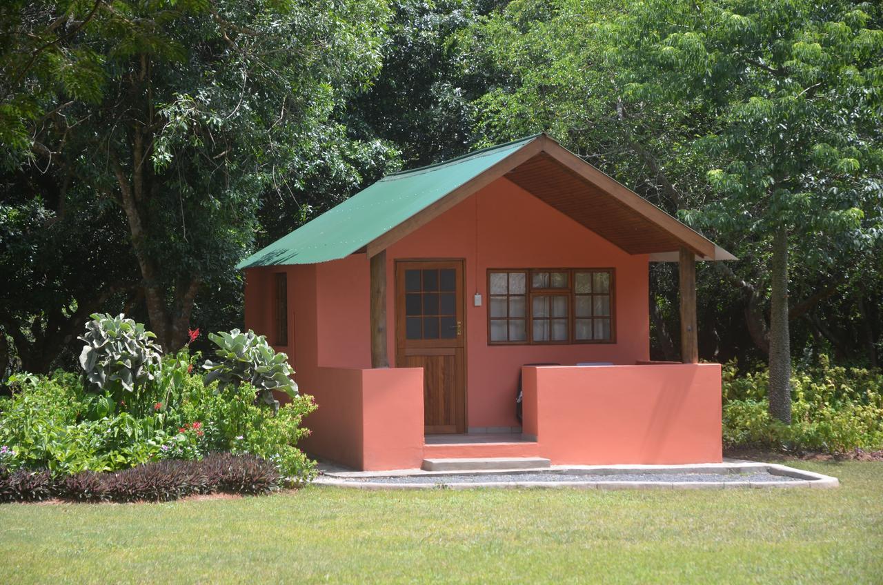 Bushbaby Lodge & Camping هلوهلوي المظهر الخارجي الصورة